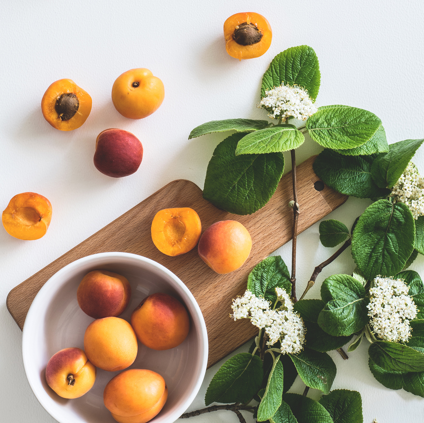 FRUTA FRUTA