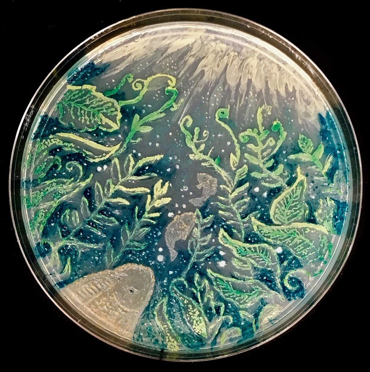 agar art