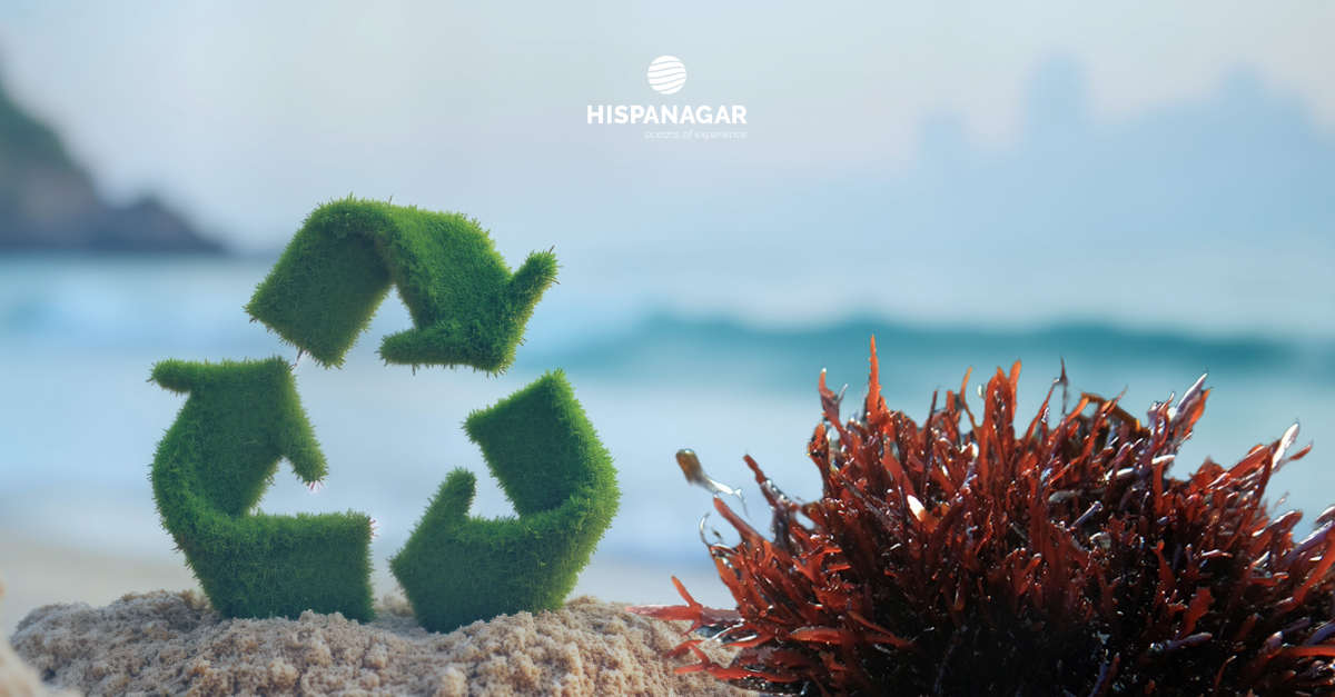 Algae and recycling Algae and recycling