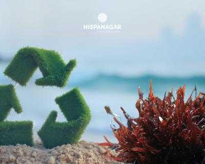 Algae and recycling